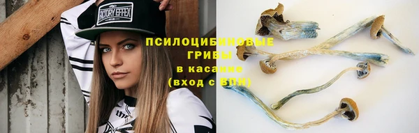спайс Алексеевка