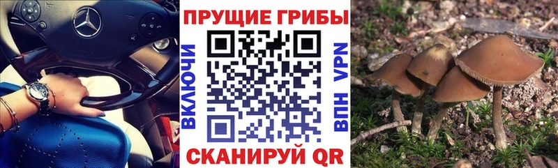 Купить  Макарьев  Псилоцибиновые грибы мухоморы 