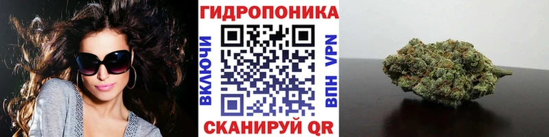 Шишки марихуана сатива Макарьев